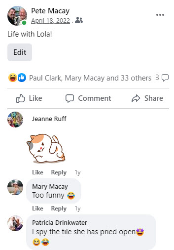 2022-04-18-Life-With-Lola-comments