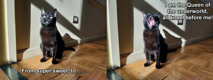 2022-04-18-Life-With-Lola