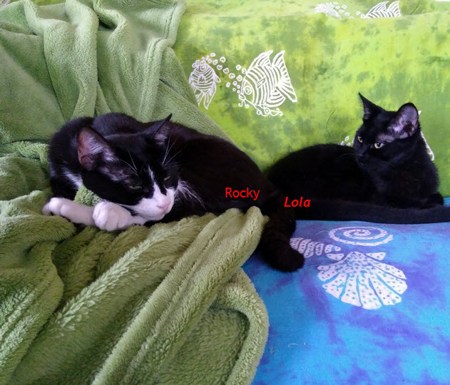 FreezingRon-July-2018-11