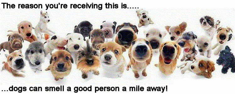dogsniff
