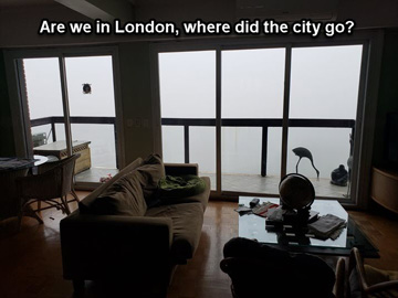 2022-06-07-Fog-001-marker