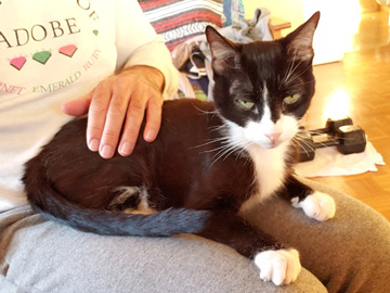 2022-07-13-RockyWarmLap-002-marker