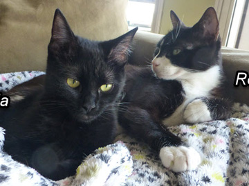 2022-10-06-UpdatedMyFBHeader-marker