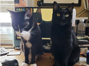 2023-08-25-rustling cat pouches-02-marker