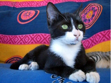 2024-08-08-RockyPassesOverTheRainbowBridge-Marker