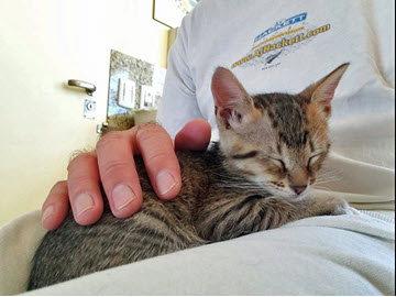 2024-10-01-AdoptingRafa-16-marker