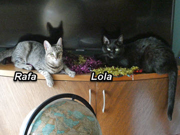 2024-10-03-Updating FB Title page-09-marker