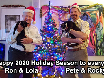 Icicle Lights Dec 2 2020-7-Marker