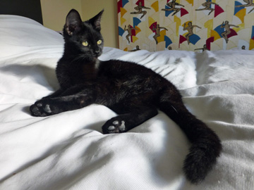 Lola-Rock-May-21-2018 (16)-Marker