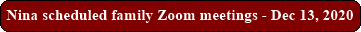 Nina scheduled family Zoom meetings - Dec 13, 2020