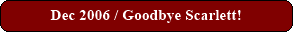 Dec 2006 / Goodbye Scarlett!