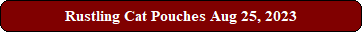 Rustling Cat Pouches Aug 25, 2023