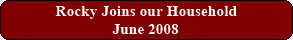 Rocky Joins our Household / June 2008
