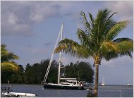 jp-PIRATES-1-articleInline