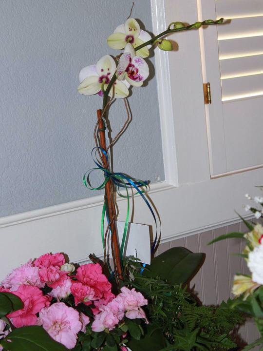 Cheryl-pics-PPM-Feb-2011-041