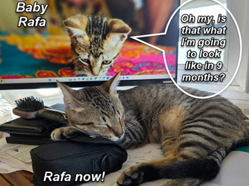 2025-07-23-BabyRafaOnMyScreenLookingAtAdultRafa-02-marker