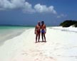 button-bvi