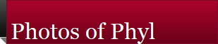 Photos of Phyl